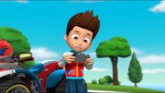 fizzy pickles paw patrol