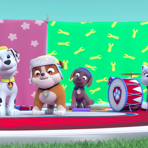 Zuma Gallery The Pups Winter Wonder Show Paw Patrol Wiki Fandom