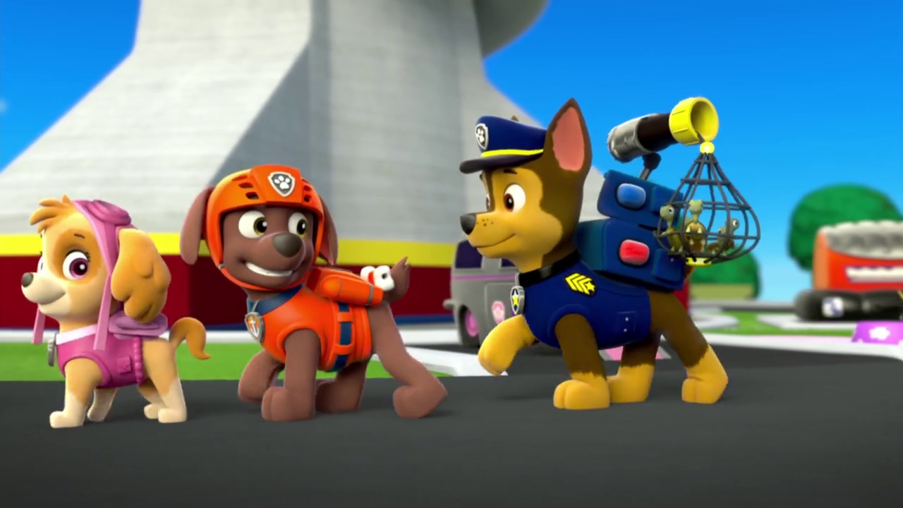 turtle from paw patrol movie