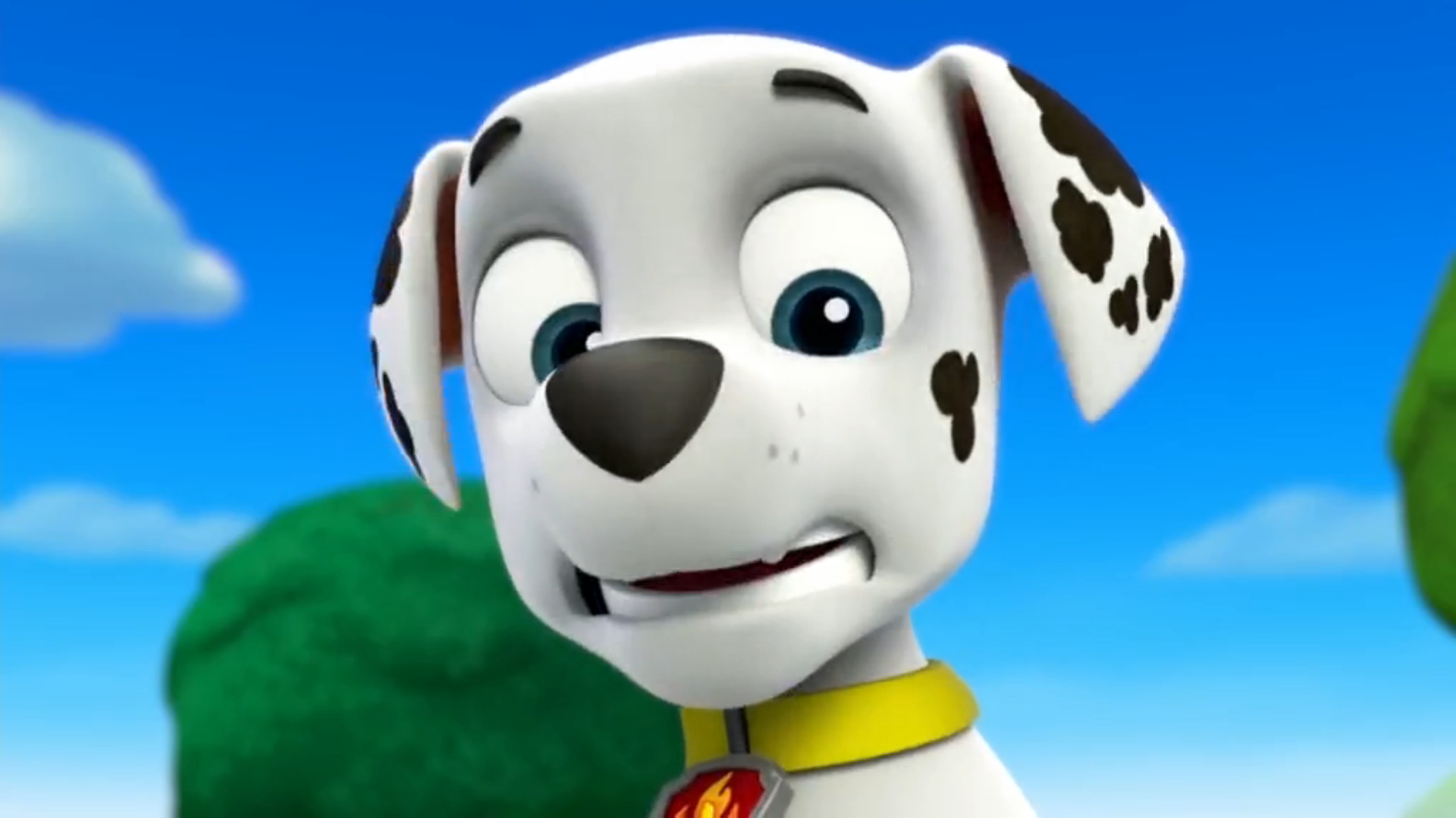 Marshall PAW Patrol Wiki FANDOM powered by Wikia - induced.info