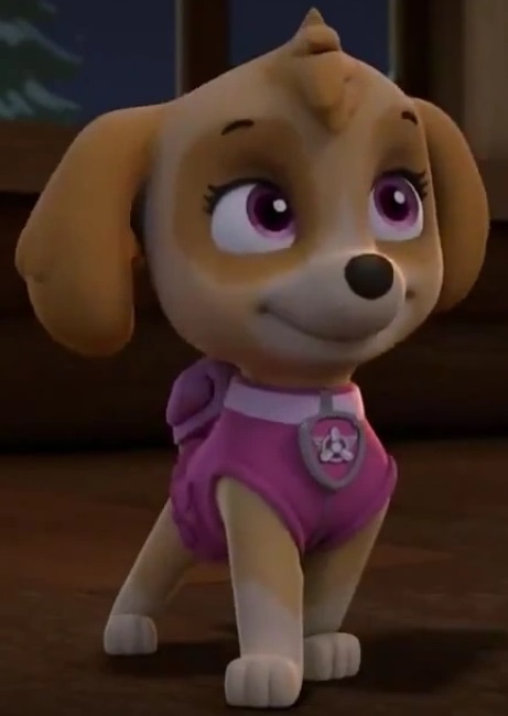 Image - Skye Without Hat.jpg | PAW Patrol Wiki | FANDOM powered by Wikia