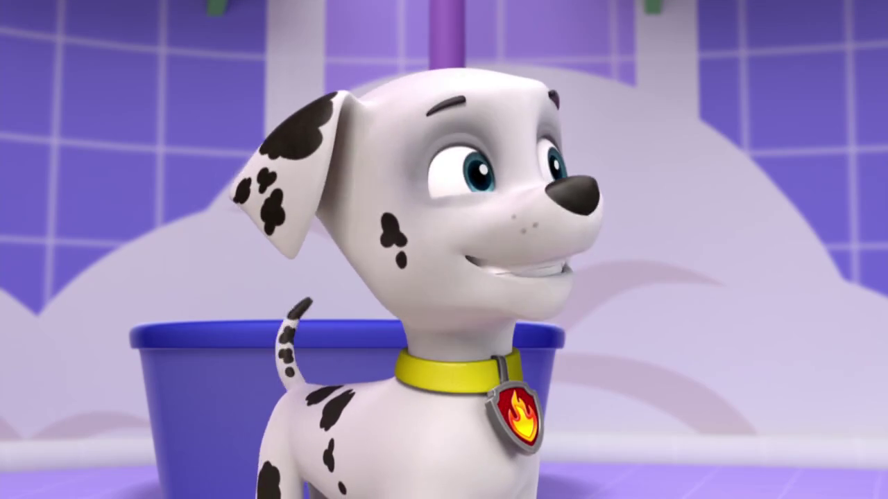 marshall gallery pup tacular paw patrol wiki fandom powered by wikia