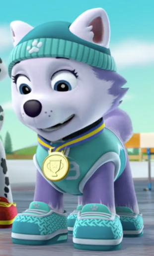 Image Everest Sports Day Outfitpng Paw Patrol Wiki Fandom 