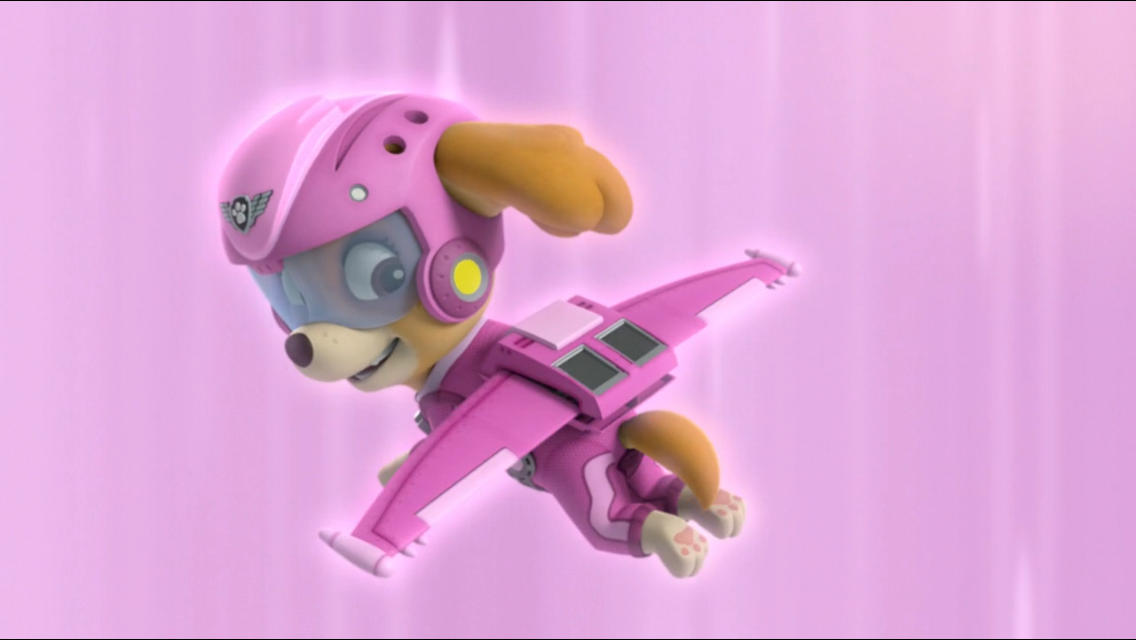 sky pup patrol