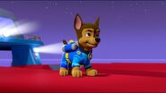 Chase | PAW Patrol Wiki | FANDOM powered by Wikia