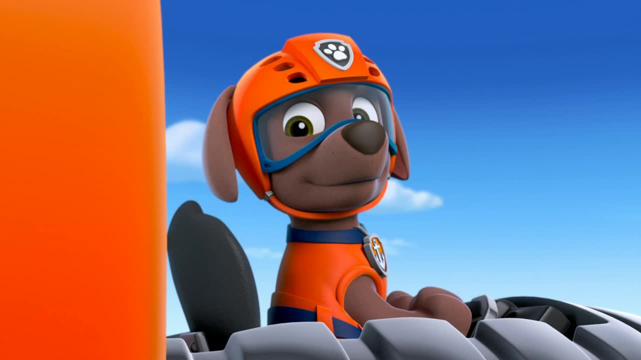 zuma paw patrol