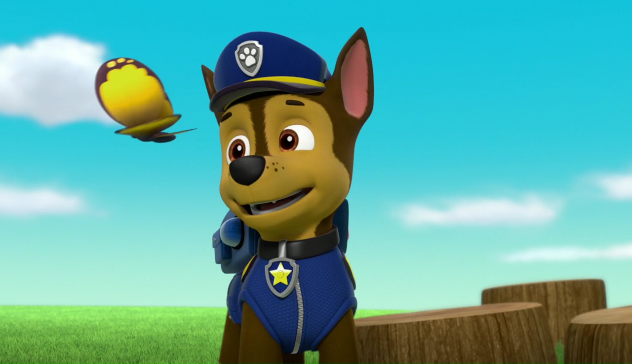 Chase/Gallery/Pups Save a Teeny Penguin | PAW Patrol Wiki | Fandom