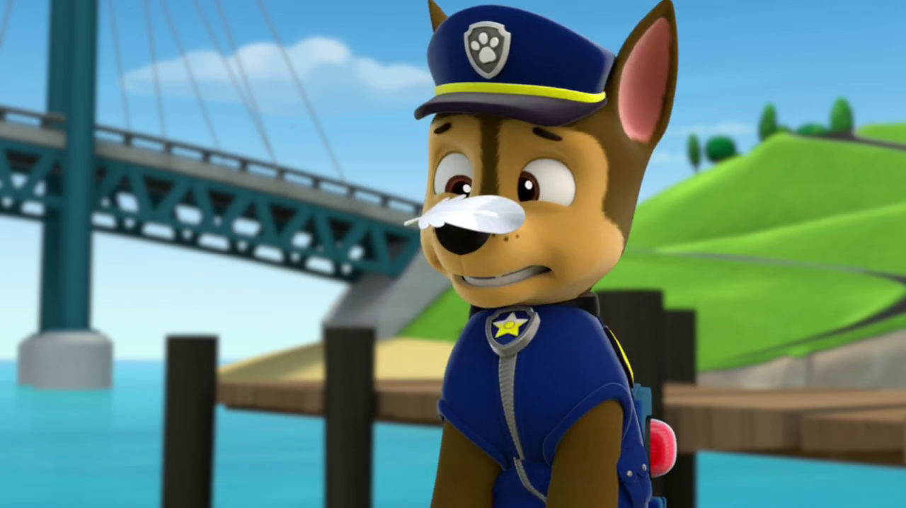 Chase paw patrol