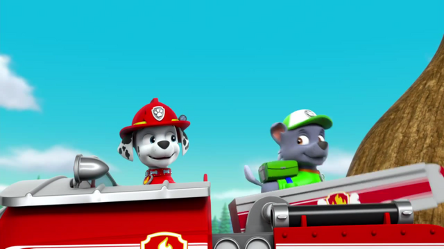 File:Lc20.png