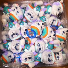 Everest Toys Paw Patrol Wiki Fandom Powered By Wikia