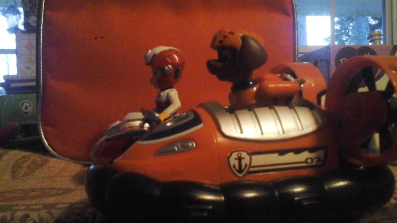 talk to the paw patrol