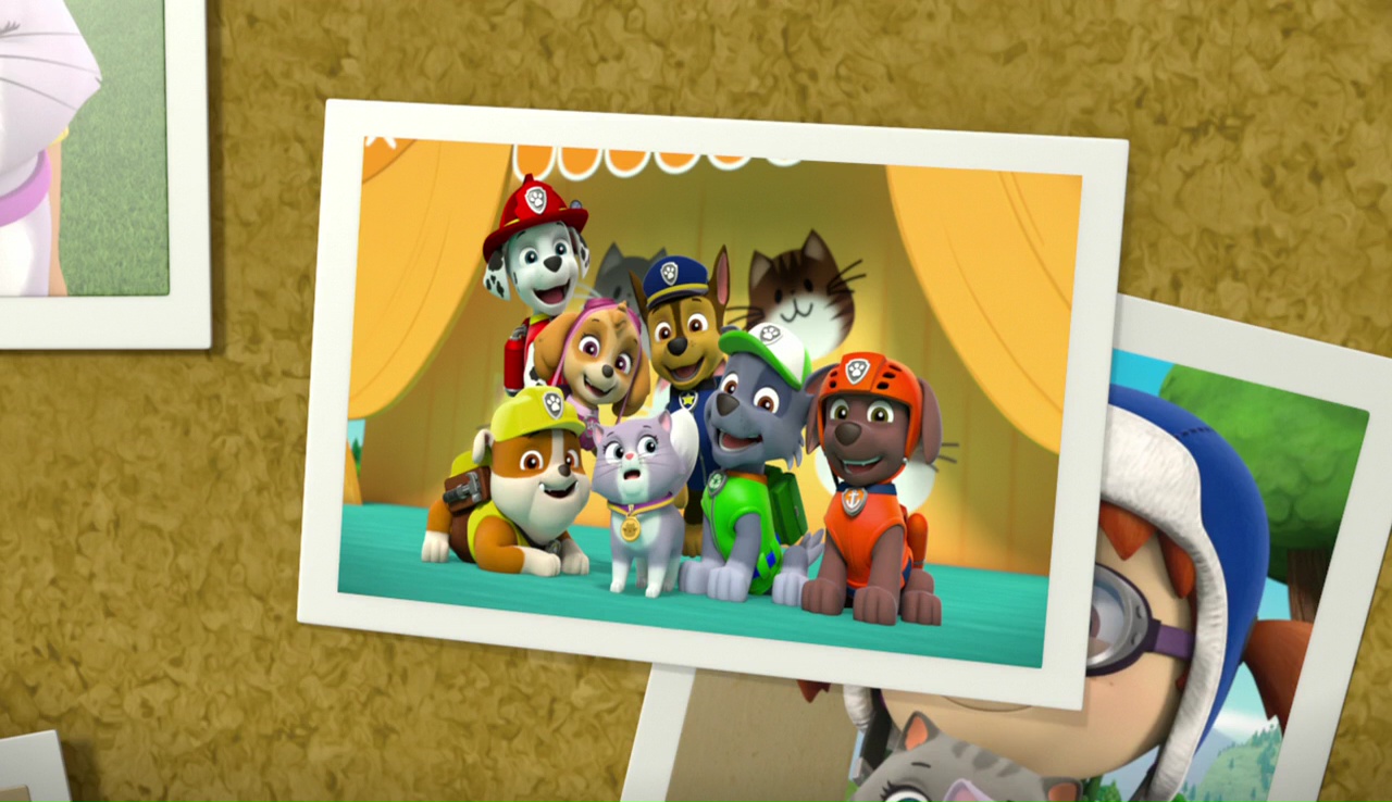 Rubblegallerypups Save The Cat Show Paw Patrol Wiki Fandom Powered By Wikia 