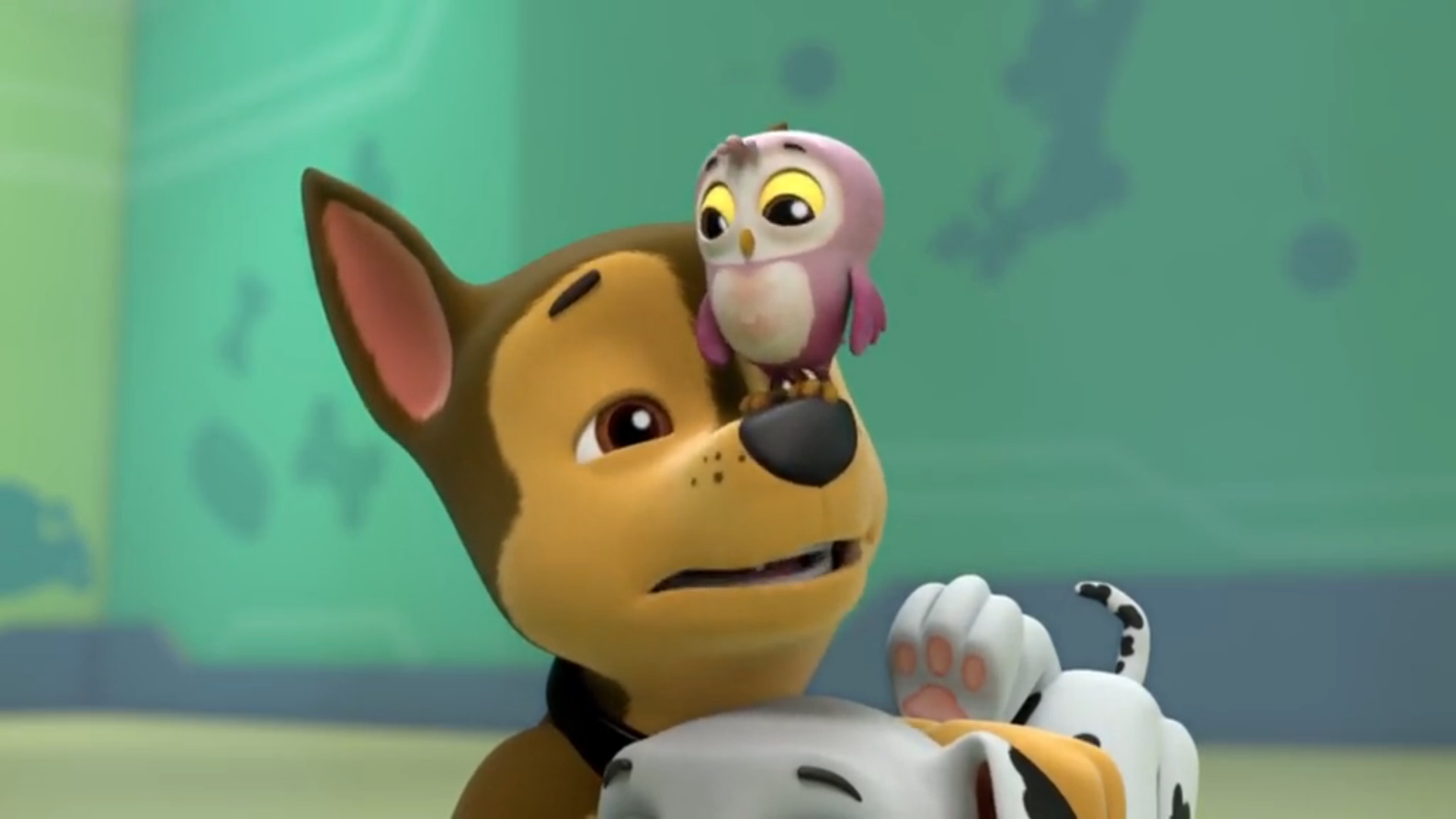 Image - Little Hootie on Chase's Nose 2.png | PAW Patrol Wiki | FANDOM