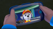 paw patrol wrist pad
