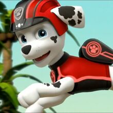 paw patrol mission marshall
