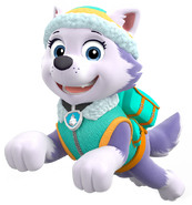 Everest | PAW Patrol Wiki | FANDOM powered by Wikia