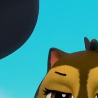 ches de paw patrol