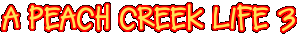 A Peach Creek Life 3