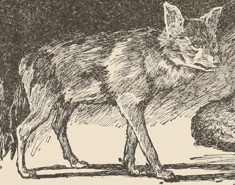 Raksha Public Domain Super Heroes FANDOM powered by Wikia