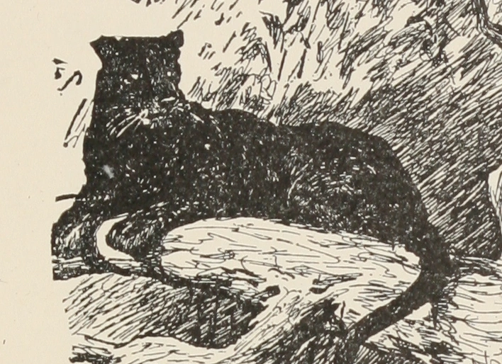 Bagheera Public Domain Super Heroes FANDOM powered by Wikia