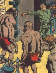 Demo and sub-men