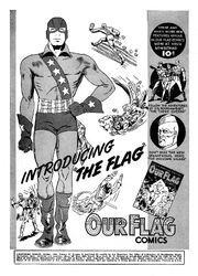 Flag 002 Promo