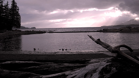 Low tide1