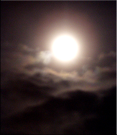 Moonlight2