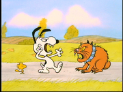 Somefight5-1-