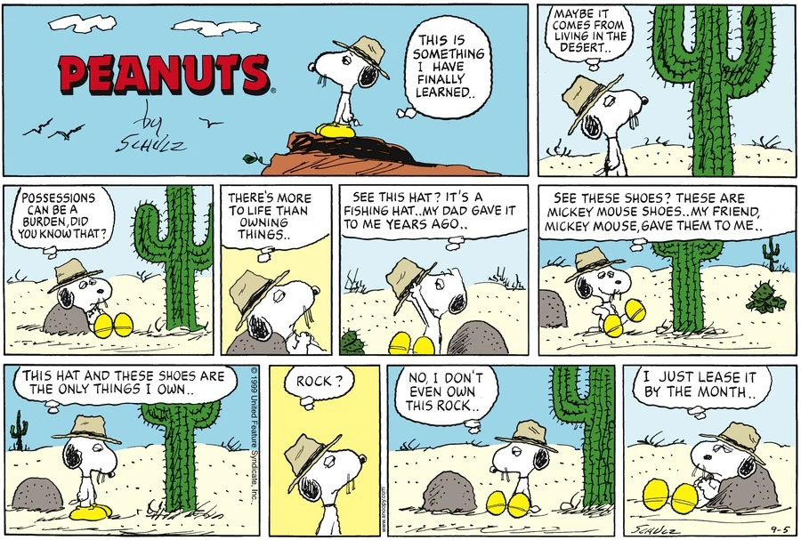 September 1999 comic strips Peanuts Wiki FANDOM powered by Wikia