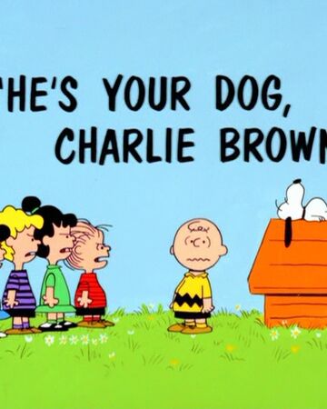 He S Your Dog Charlie Brown Peanuts Wiki Fandom