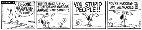 19721124