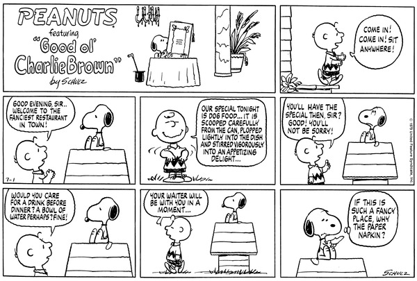 Charlie Brown Peanuts Comic Strip - Kahoonica