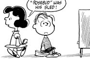 Rosebud1