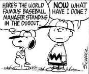 World Famous Baseball Manager