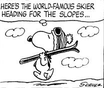 World Famous Skier