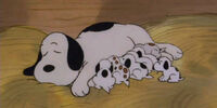 peanuts siblings charlie snoopys beagle elblogdesnoopy characters missy spike woodstock  doghouse marbles olaf