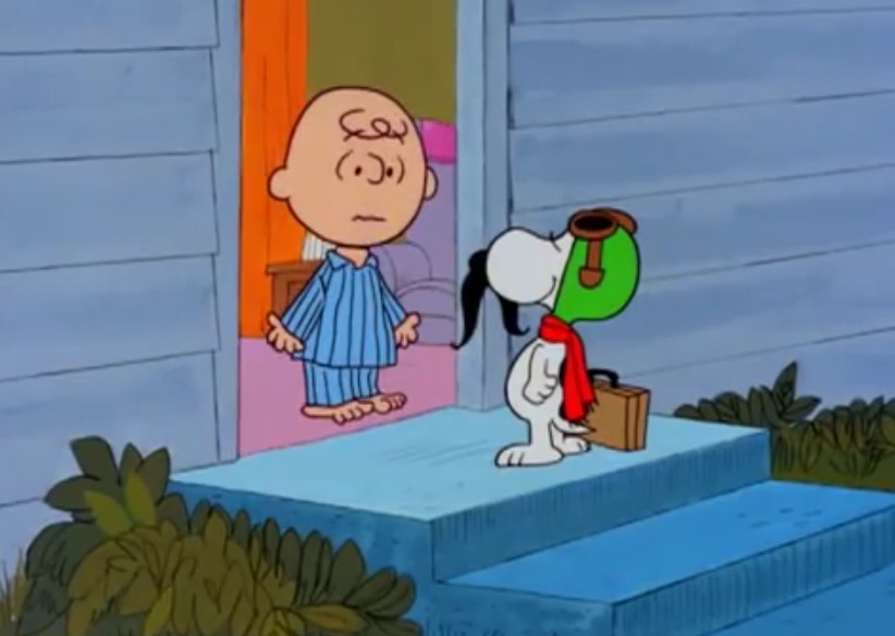 Brown house | Peanuts Wiki | Fandom