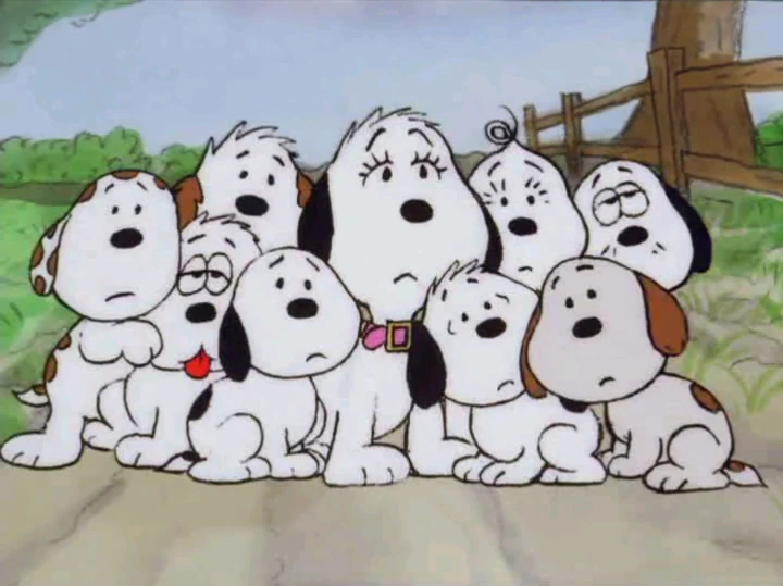 Snoopy's siblings Peanuts Wiki FANDOM powered by Wikia
