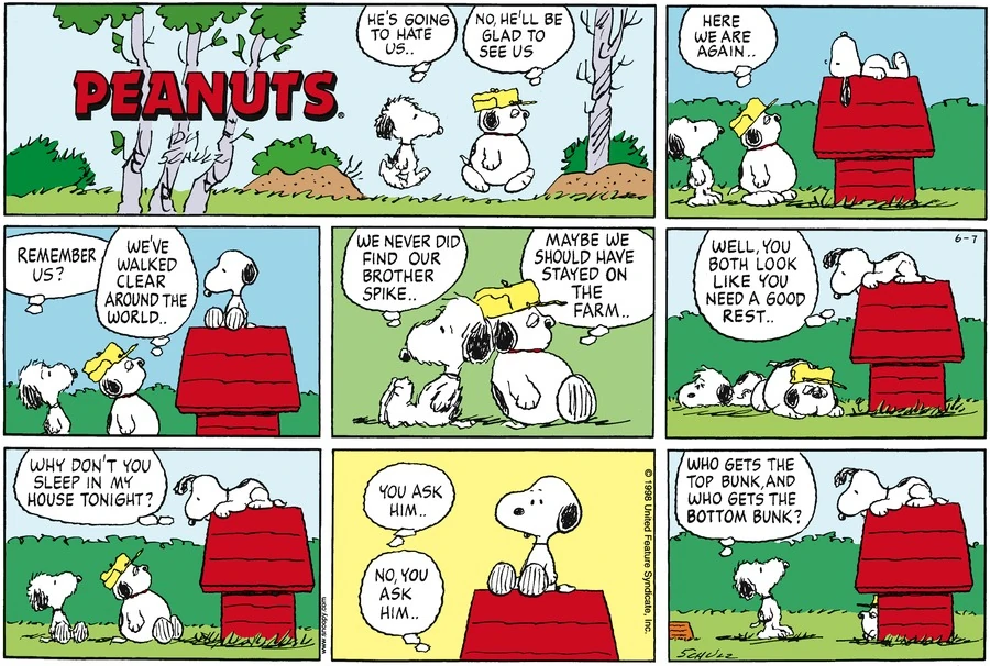 June 1998 comic strips Peanuts Wiki FANDOM powered by Wikia