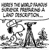 World Famous Surveyor
