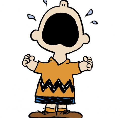 Image result for charlie brown aaugh