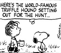 World Famous Truffle Hunter