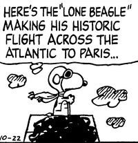 Lone Beagle