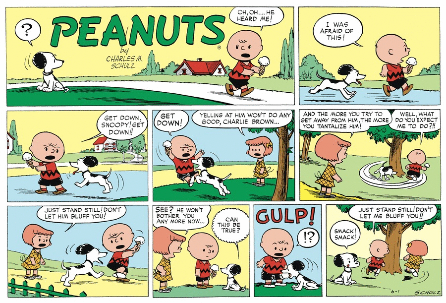 June 1952 comic  strips  Peanuts Wiki Fandom