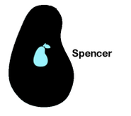 Pear phone xt Pear phone xt