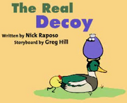 The reall decoy image