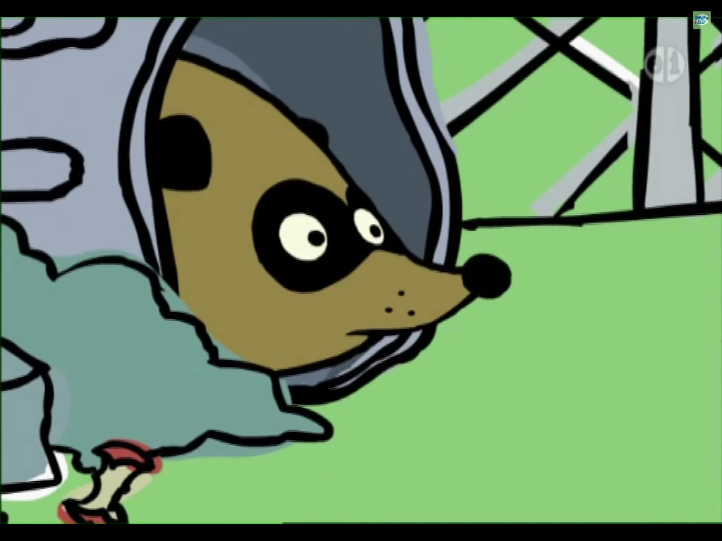 Raccoon | Peep and the Big Wide World Wiki | FANDOM powered by Wikia