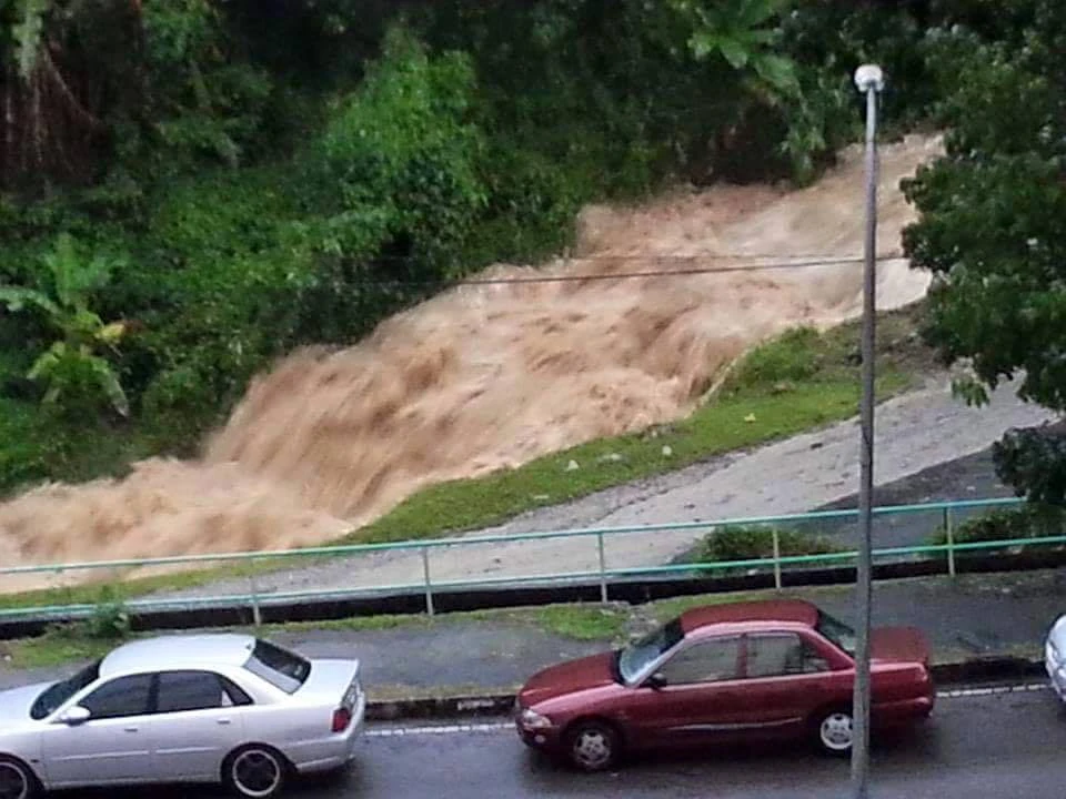 Paya Terubong | Penang Wikia | Fandom