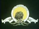 Images-vole lion
